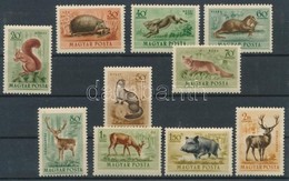 ** 1953 Erdei állatok Sor (4.000) - Other & Unclassified