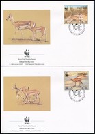 1993 WWF: Golyvás Gazella Sor Mi 511-514 4 Db FDC-n - Otros & Sin Clasificación