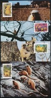 1984 WWF: Arany Langúr Sor 4 CM Mi 840-843 - Andere & Zonder Classificatie