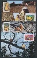 1984 WWF: Majmok Sor 4 Db CM-en Mi 840-843 - Other & Unclassified