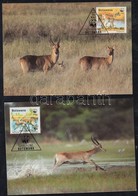 1988 WWF: Antilopok Sor 4 Db CM-en Mi 431-434 - Autres & Non Classés