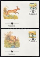 1988 WWF: Antilopok Sor 4 Db FDC-n Mi 431-434 - Other & Unclassified