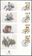 1991 WWF Borneói Nagyorrúmajom 4 FDC-n Mi 430-433 - Andere & Zonder Classificatie