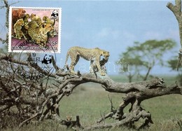 1984 WWF: Gepárdak CM Mi 957-960 - Otros & Sin Clasificación