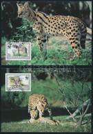 1992 WWF: Szervál Sor 4 Db CM-en Mi 1758-1761 - Other & Unclassified