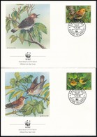 1989 WWF: Rarotongai Tengerilégykapó Sor Mi 1278-1281 4 Db FDC-n - Autres & Non Classés