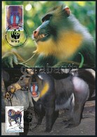 1991 WWF: Mandrill Sor Mi 1731-1734 4 Db CM-en - Andere & Zonder Classificatie