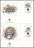 1991 WWF: Görög Teknős Sor 4 Db FDC Mi 2046-2049 - Other & Unclassified