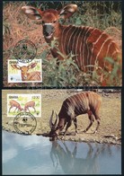 1984 WWF: Bongo Sor 4 Db CM-en Mi 1060-1063 - Other & Unclassified