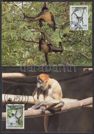 1990 WWF Geoffroy-pókmajom Sor Mi 1084-1087 4 CM - Other & Unclassified