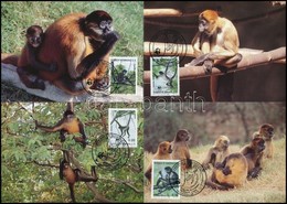 1990 WWF: Majmok Sor 4 Db CM-en Mi 1084-1087 - Andere & Zonder Classificatie