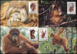 1989 WWF: Orangután Sor 4 Db CM-en Mi 1291-1294 - Otros & Sin Clasificación