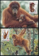 1989 WWF: Orangután Sor Mi 1291-1294 4 Db CM-en - Andere & Zonder Classificatie