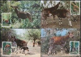 1984 WWF: Okapi Sor 4 Db CM-en,
WWF: Okapi Set On 4 CM
Mi 875-878 - Andere & Zonder Classificatie