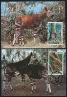 1984 WWF: Okapi Sor Mi 875-878 4 Db CM-en - Autres & Non Classés