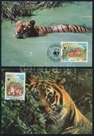 1984 WWF: Tigris Sor 4 Db CM-en Mi 706-709 - Otros & Sin Clasificación