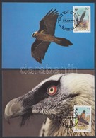 1986 WWF: Madarak Sor 4 Db CM-en Mi 556-559 - Other & Unclassified