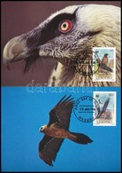 1986 WWF: Saskeselyű Sor 4 Db CM-en Mi 556-559 - Other & Unclassified