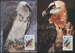 1986 WWF: Saskeselyű Sor 4 Db CM-en Mi 556-559 - Other & Unclassified