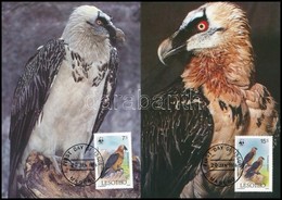 1986 WWF: Saskeselyű Sor 4 Db CM-en Mi 556-559 - Andere & Zonder Classificatie