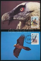 1986 WWF: Saskeselyű Sor 4 Db CM-en Mi 556-559 - Other & Unclassified