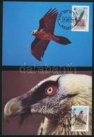 1986 WWF: Saskeselyű Sor 4 Db CM-en Mi 556-559 - Andere & Zonder Classificatie