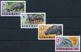 ** 1984 WWF: Törpe Víziló Sor Mi 1315-1318 - Otros & Sin Clasificación