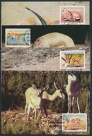 1987 WWF Gazella Sor Mi 1753-1756 CM - Andere & Zonder Classificatie