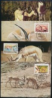 1987 WWF: Gazella Sor 4 Db CM-en Mi 1753-1756 - Andere & Zonder Classificatie