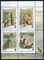 ** 2011 WWF: Ürge Négyestömb,
WWF: Squirrel Block Of 4
Mi 610-613 - Other & Unclassified