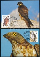 1991 WWF: Sas Sor 4 Db CM-n Mi 864-867 - Other & Unclassified