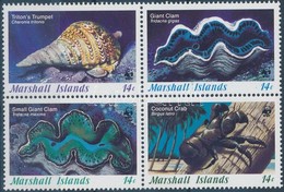 ** 1986 Tengeri Csigák és Kagylók Négyestömb + Ugyanaz A Sor 4 FDC-n Mi 73-76 - Andere & Zonder Classificatie