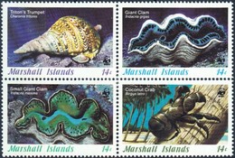 ** 1986 WWF Tengeri Csigák és Kagylók Négyestömb + 4 FDC Mi 73-76 - Autres & Non Classés