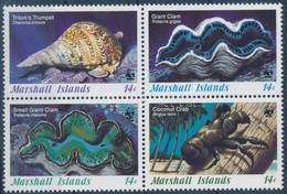 ** 1986 WWF Tengeri Kagylók és Csigák Négyestömb + 4 FDC Mi 73-76 - Otros & Sin Clasificación