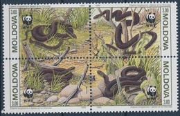 ** 1993 WWF Kígyók Négyestömb + 4 FDC (WWF-es értékek) Mi 50-53 - Otros & Sin Clasificación