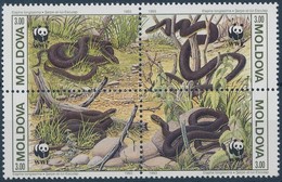 ** 1993 WWF Kígyók Négyestömb + 4 FDC (WWF-es értékek) Mi 50-53 - Andere & Zonder Classificatie