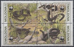 ** 1993 WWF Kígyók Négyestömb + 4 FDC Mi 50-53 - Other & Unclassified