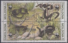 ** 1993 WWF Kígyók Négyestömb + 4 FDC Mi 50-53 - Other & Unclassified