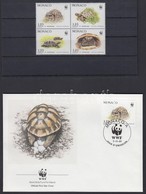 ** 1991 WWF: 4-es Tömb és 4 FDC Mi 2046-2049 - Other & Unclassified