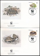 1991 WWF: Görög Teknős Sor 4 FDC-n Mi 2046-2049 - Andere & Zonder Classificatie