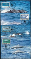 1990 WWF Delfinek Sor 4 Db CM-en Mi 786-789 - Andere & Zonder Classificatie