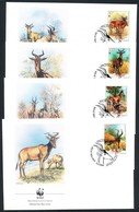 1991 WWF Vörös Tehénantilop Sor Mi 1231-1234 4 FDC - Otros & Sin Clasificación