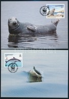 1990 WWF: Tengeri élővilág Sor Mi 497-500 4 Db FDC-n + 4 Db CM-en - Other & Unclassified