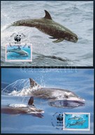 1993 WWF Delfinek Sor 4 Db CM-en Mi 822-825 - Andere & Zonder Classificatie