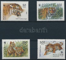 ** 1993 WWF: Szibériai Tigris Sor Mi 343-346 + 4 Db FDC - Other & Unclassified