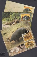 1985 WWF Paraguay állatai Sor WWF-es értékei Mi 3854-3857 CM - Other & Unclassified