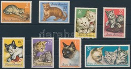 ** 1965 Macskák Sor,
Cats Set
Mi 2387-2394 - Other & Unclassified