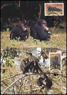 1983 WWF Csimpánzok Sor  4 Db CM-en Mi 713-716 - Autres & Non Classés