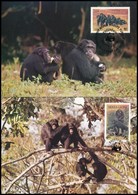 1983 WWF Csimpánzok Sor  4 Db CM-en Mi 713-716 - Otros & Sin Clasificación
