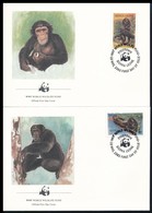 1983 WWF Csimpánzok Sor  4 FDC-n Mi 713-716 - Otros & Sin Clasificación